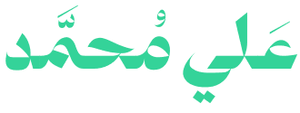 logo-ali mohamed